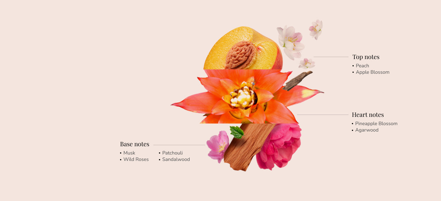 Ingredients Image