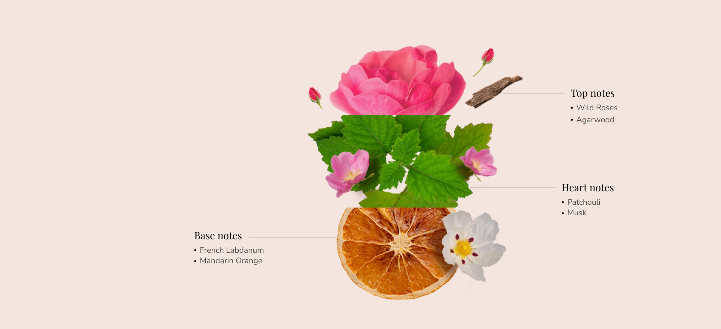 Ingredients Image