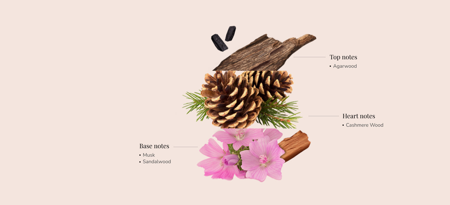 Ingredients Image
